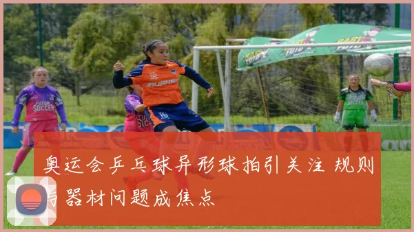 奥运会乒乓球异形球拍引关注 规则与器材问题成焦点