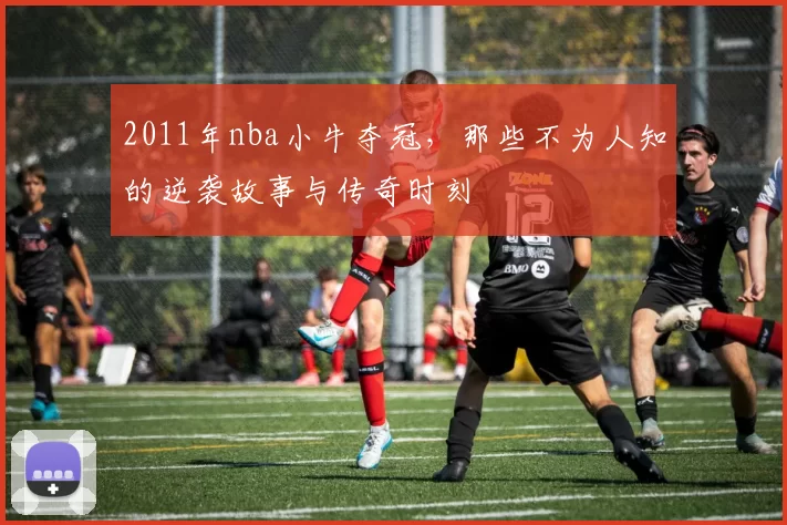 2011年nba小牛夺冠，那些不为人知的逆袭故事与传奇时刻