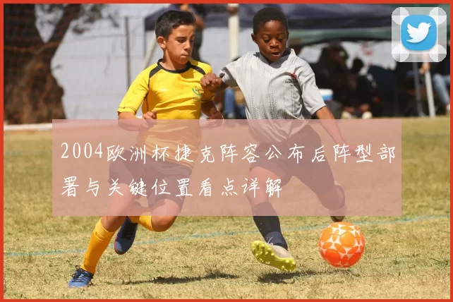 2004欧洲杯捷克阵容公布后阵型部署与关键位置看点详解