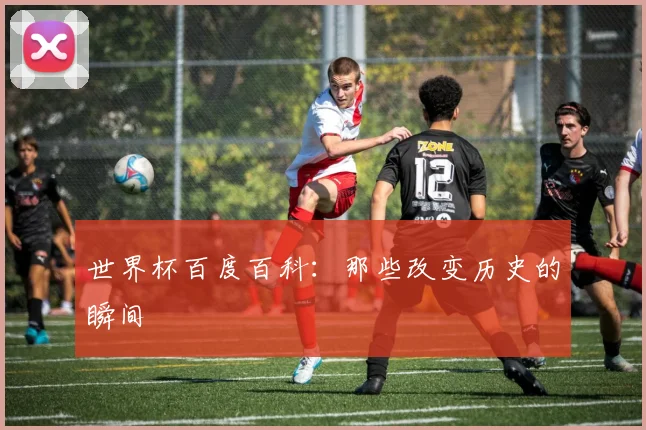 世界杯百度百科：那些改变历史的瞬间