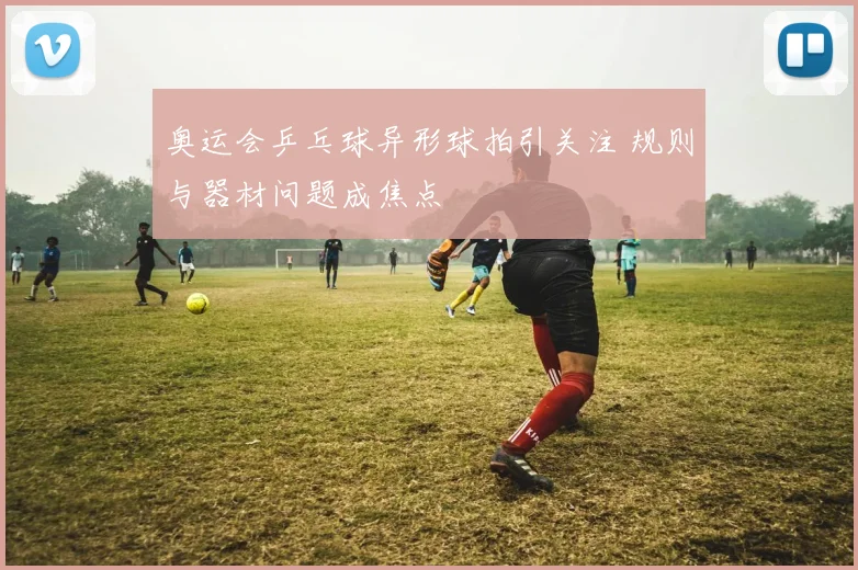 奥运会乒乓球异形球拍引关注 规则与器材问题成焦点