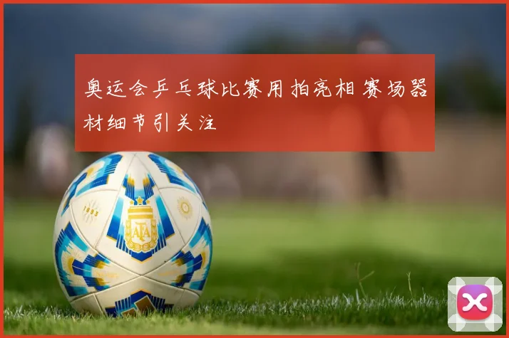 奥运会乒乓球比赛用拍亮相 赛场器材细节引关注