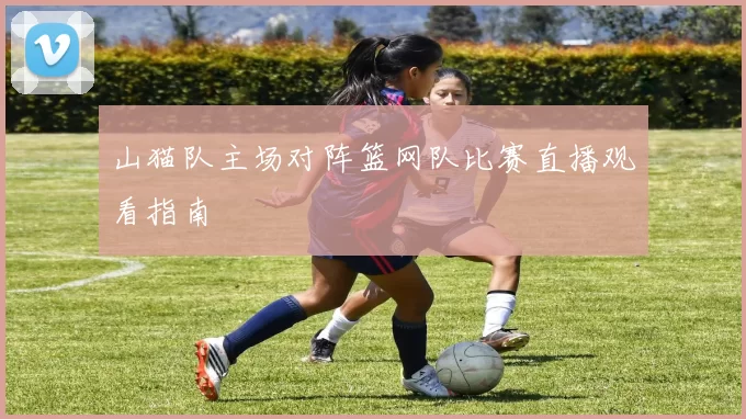 山猫队主场对阵篮网队比赛直播观看指南