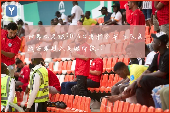 世界杯足球2016年赛程公布 各队备战安排进入关键阶段_1